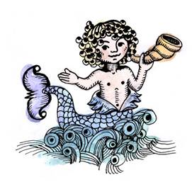 Triton Triton